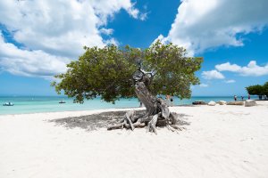 eagle beach top beaches on aruba