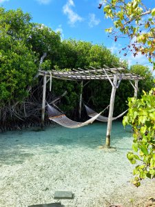 renaissance island top beaches on aruba